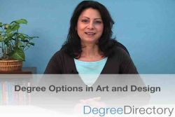 艺术和设计学位选项 - 视频预览